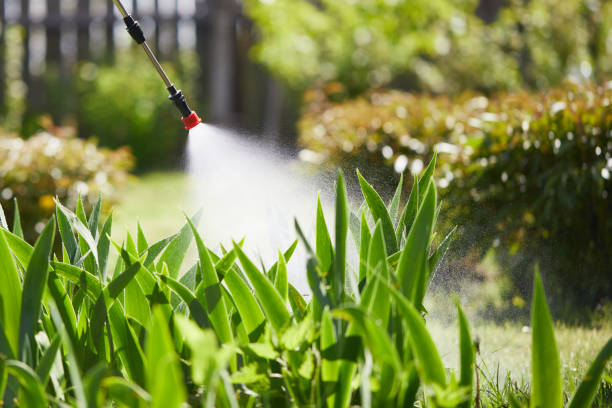 24/7 Emergency Mosquito Control experts in Honeyville, UT